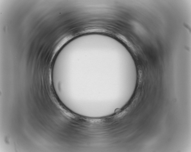 X0000096401274200801240956