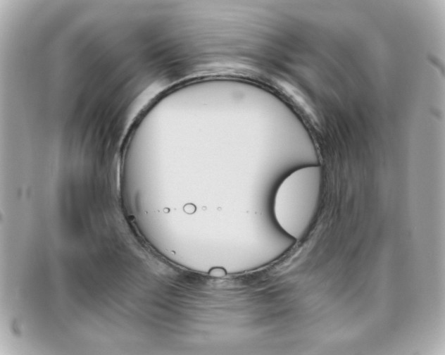 X0000096401275200801240956