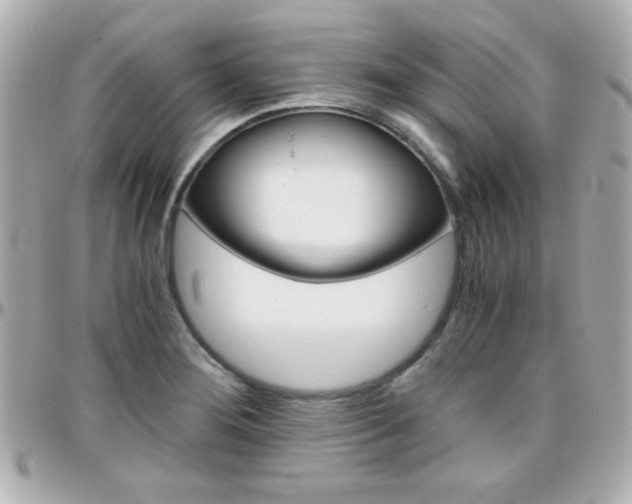 X0000096401276200801240956