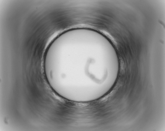 X0000096401278200801240956