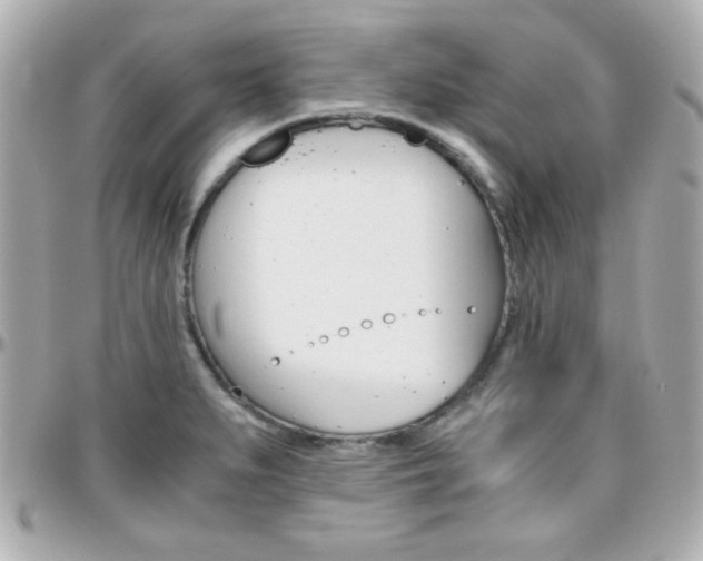 X0000096401279200801240956