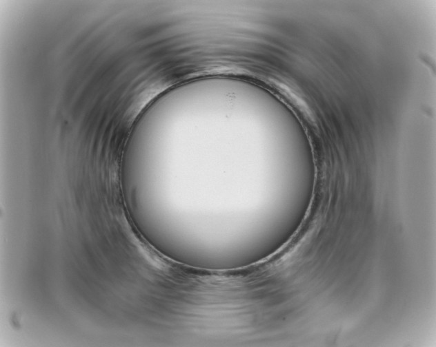 X0000096401281200801240956
