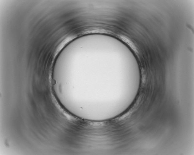 X0000096401282200801240956