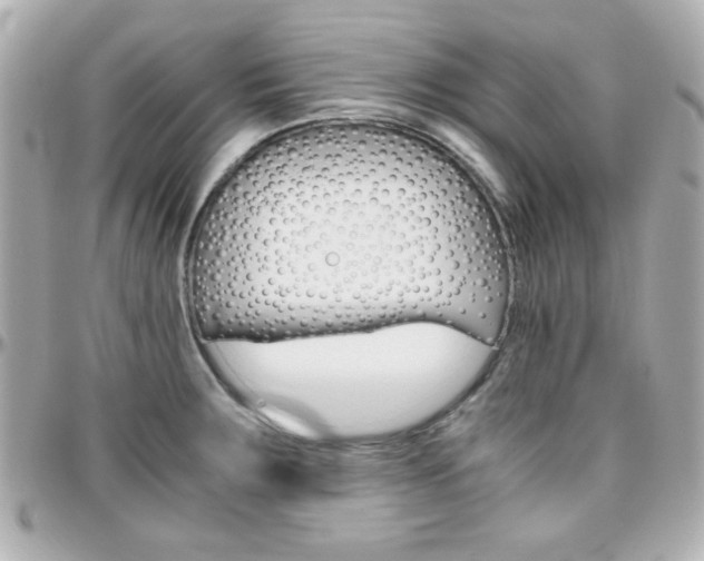 X0000096401283200801240956