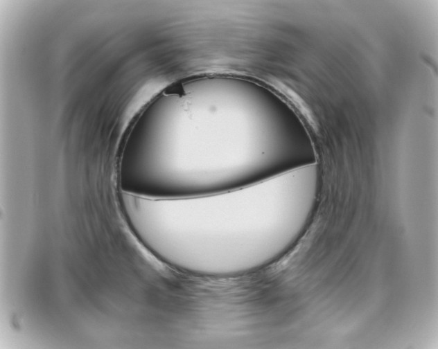 X0000096401285200801240956