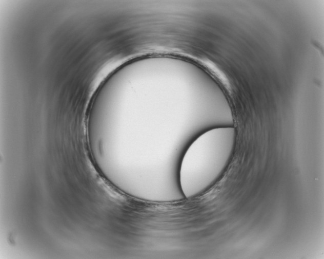 X0000096401287200801240956