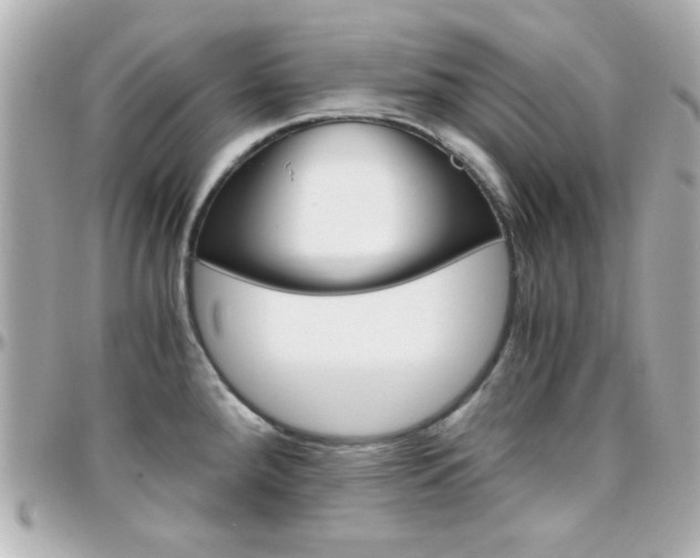 X0000096401288200801240956
