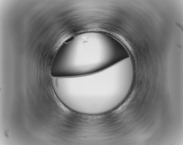 X0000096401289200801240956