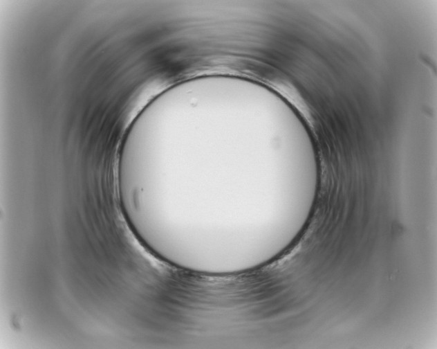 X0000096401290200801240956