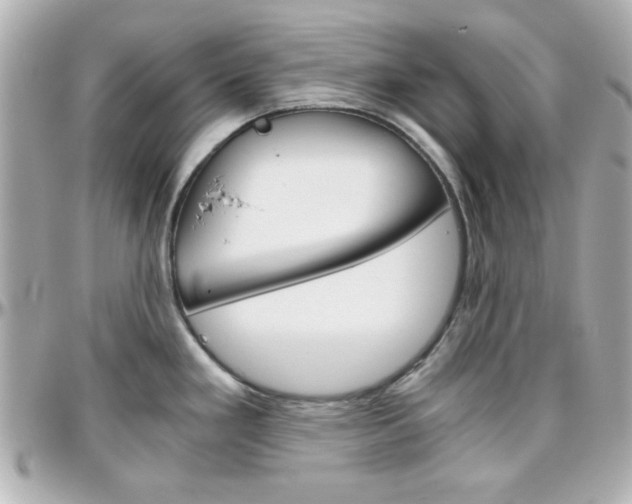X0000096401293200801240955