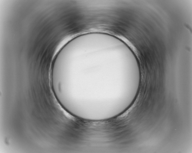 X0000096401294200801240955