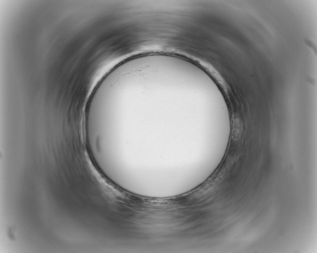 X0000096401295200801240955