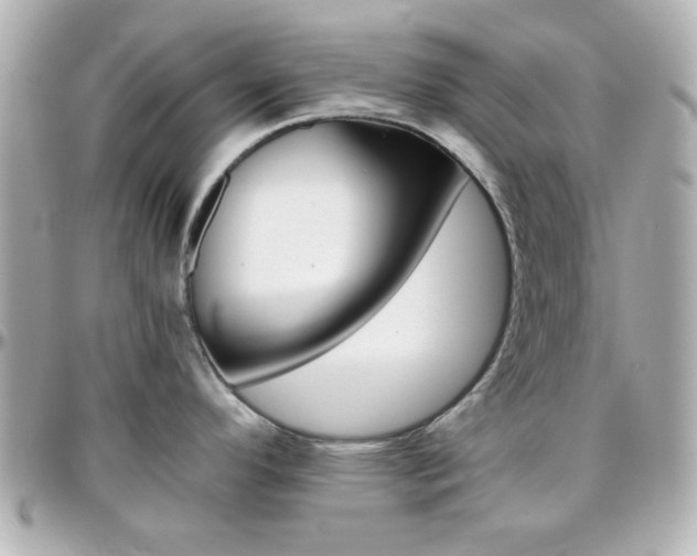 X0000096401296200801240955