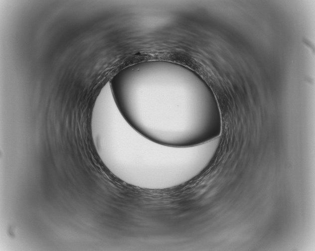 X0000096401298200801240955