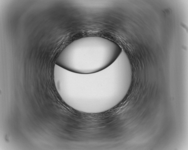 X0000096401299200801240955