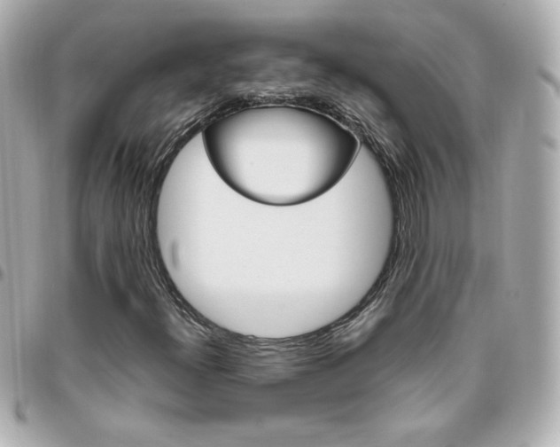 X0000096401300200801240955