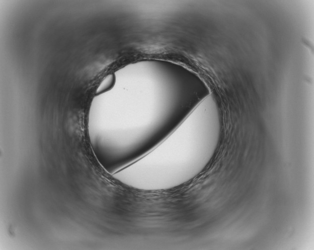 X0000096401301200801240955