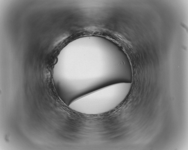X0000096401302200801240955