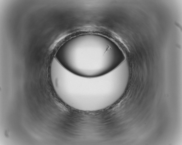 X0000096401304200801240955