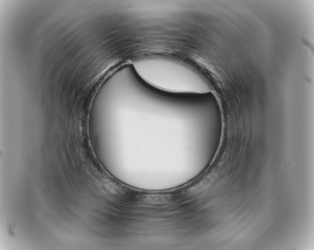 X0000096401305200801240955