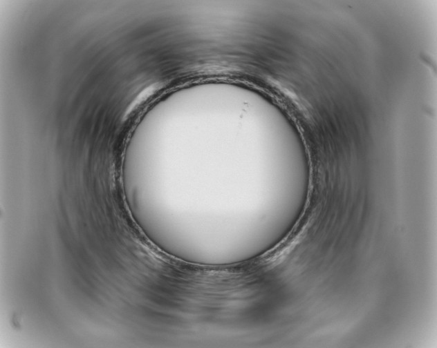 X0000096401306200801240955
