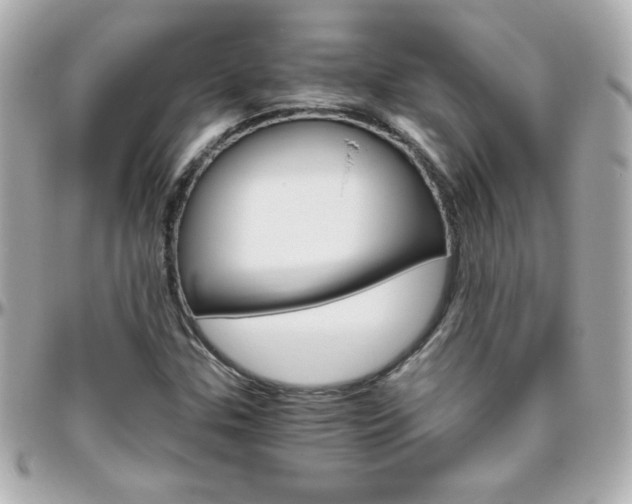 X0000096401307200801240955