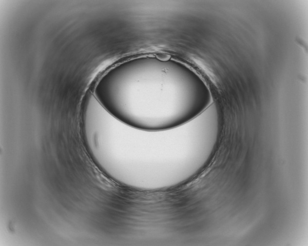 X0000096401308200801240955