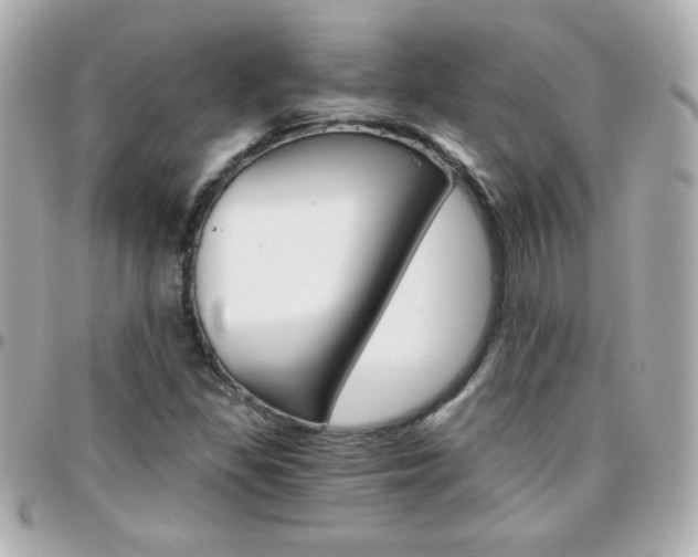 X0000096401309200801240955