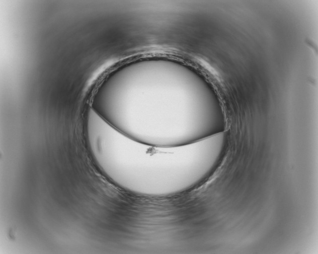 X0000096401310200801240955