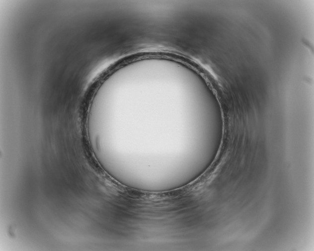 X0000096401311200801240955