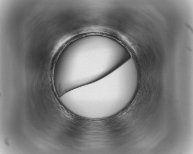 X0000096401312200801240955