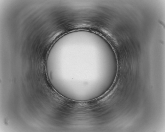 X0000096401313200801240955