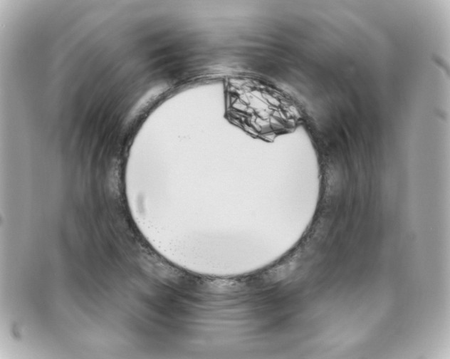 X0000096401314200801240955