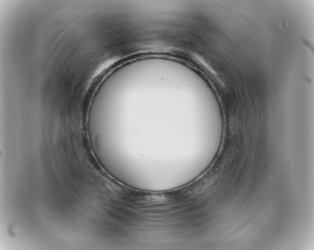 X0000096401315200801240955