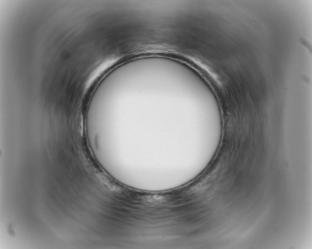 X0000096401317200801240955