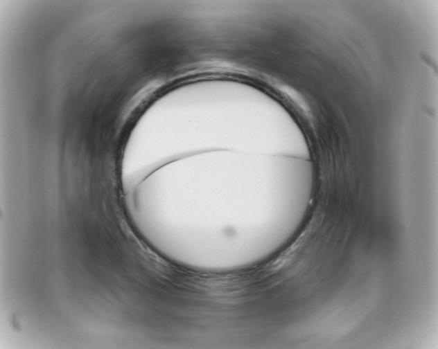 X0000096401318200801240955