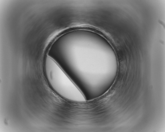 X0000096401319200801240955