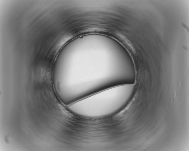 X0000096401321200801240955