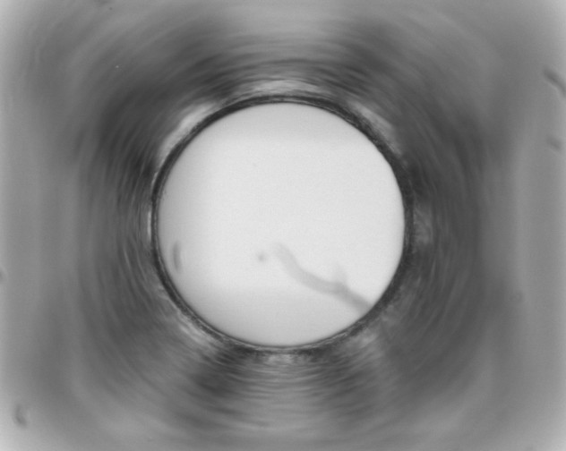 X0000096401322200801240955