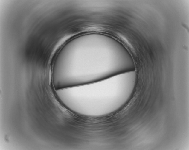 X0000096401323200801240955