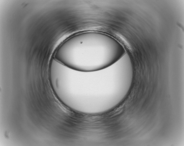 X0000096401324200801240955
