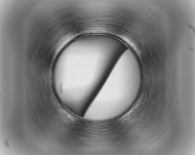 X0000096401325200801240955