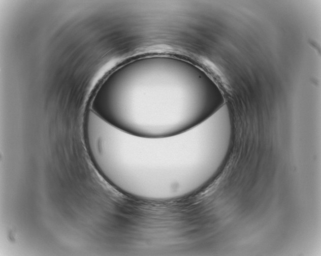 X0000096401326200801240955