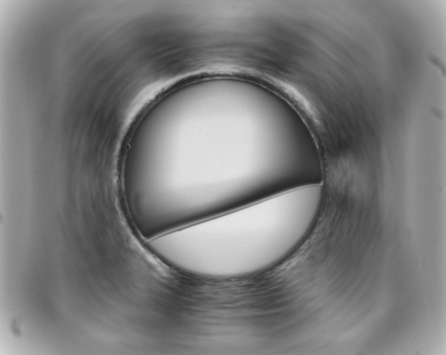 X0000096401327200801240955
