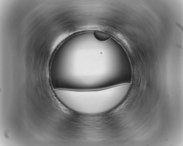 X0000096401328200801240955