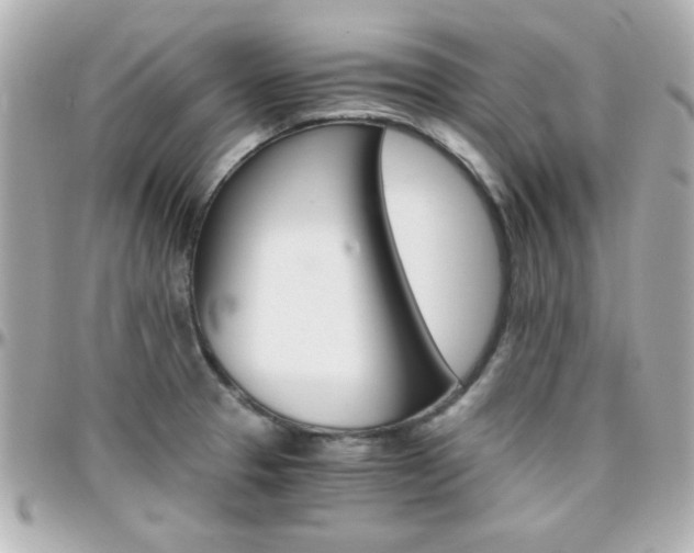 X0000096401329200801240955