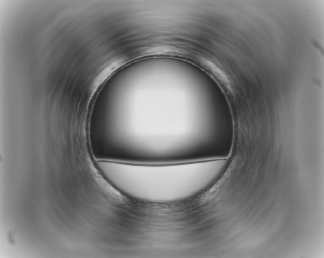 X0000096401330200801240955