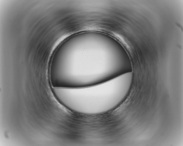 X0000096401331200801240955