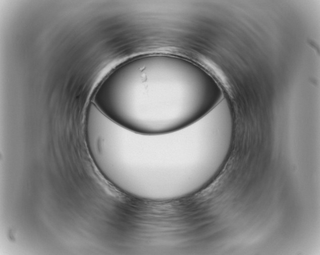 X0000096401332200801240955