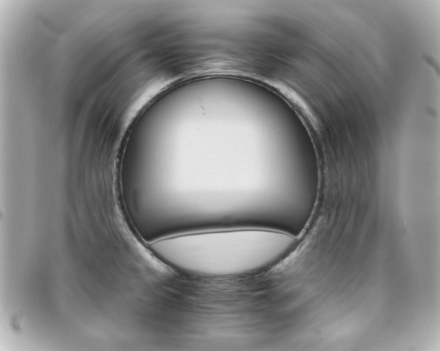X0000096401333200801240955